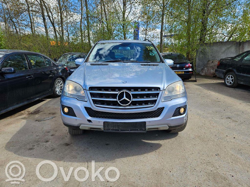 ML W164 ML-class, AMG (W163, W164, W166)  0258017014