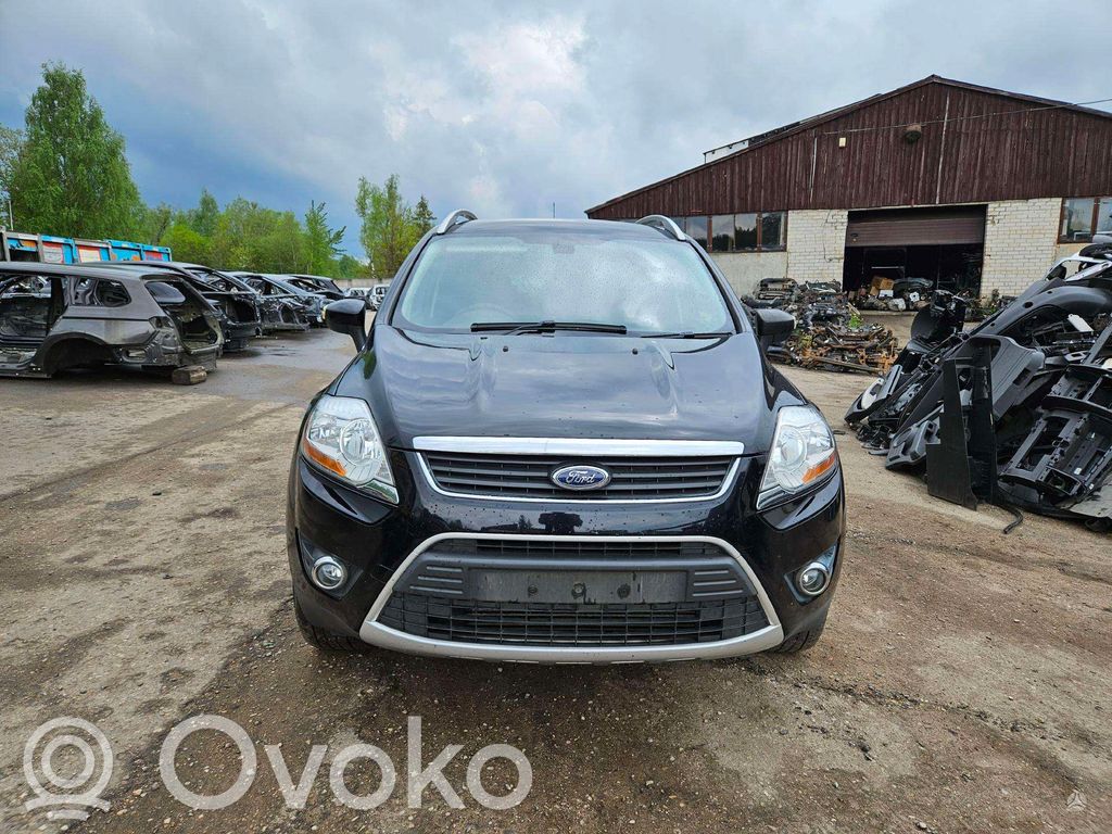 Kuga I Kuga