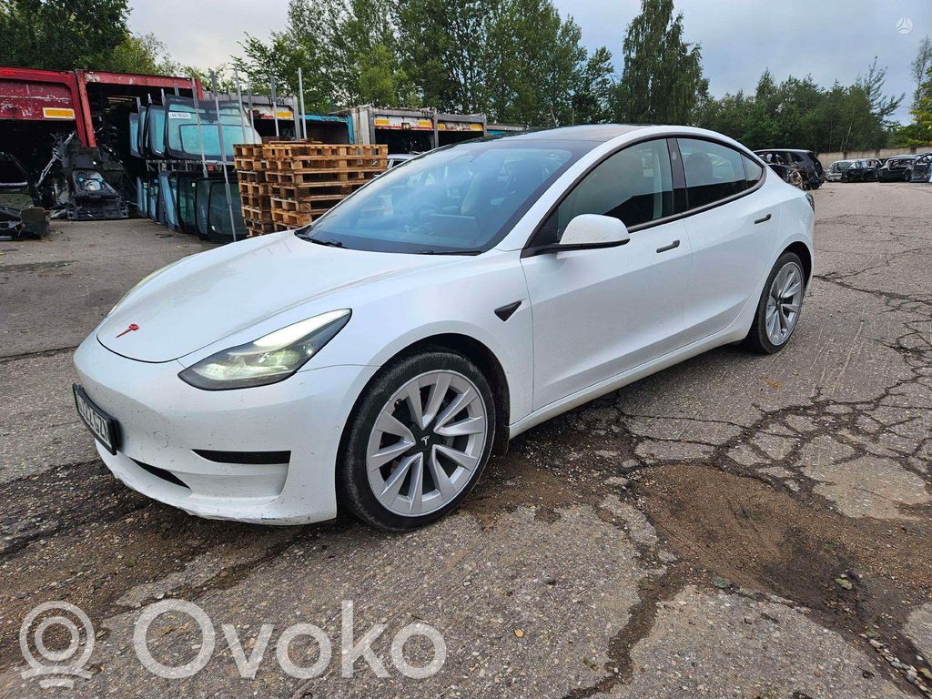 Model 3 Tesla Model 3  1011298