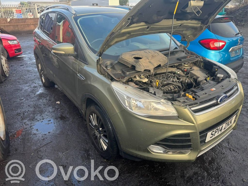 Kuga II Kuga