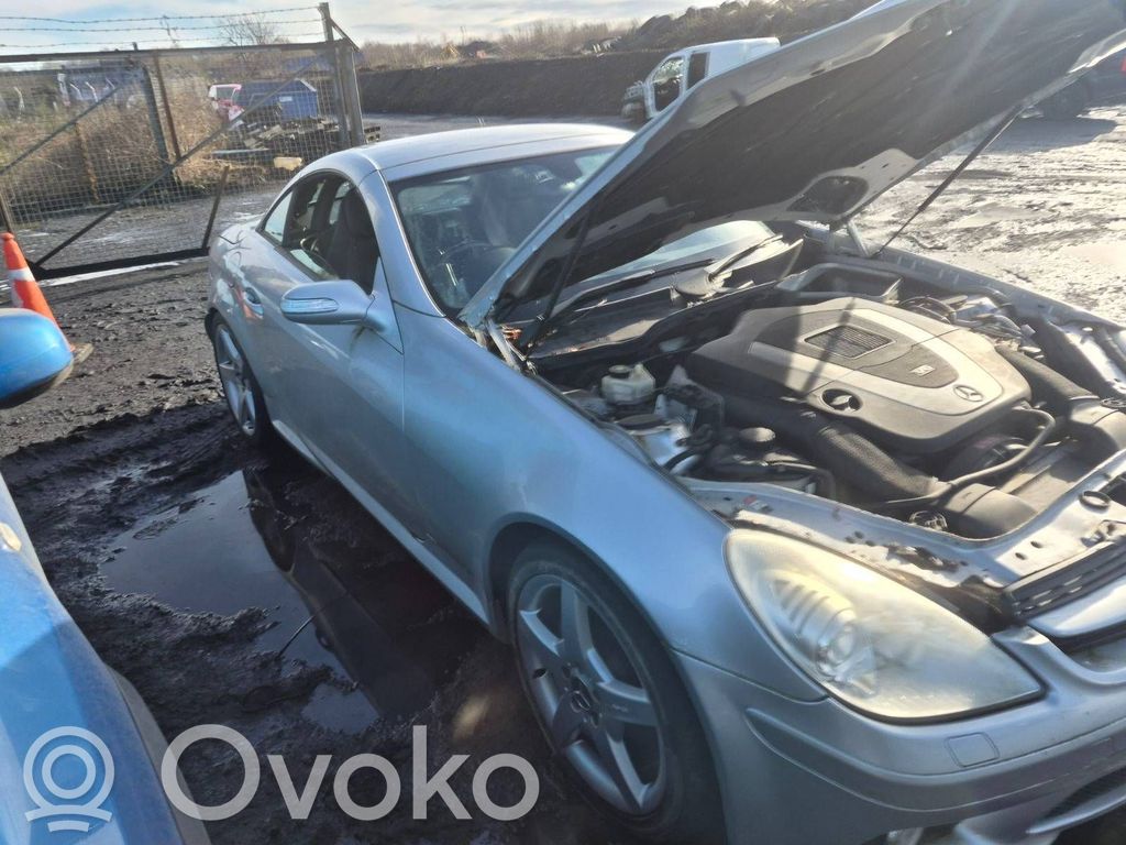 SLK R171 SLK-class, AMG (W170, W171, W172)  0001108222