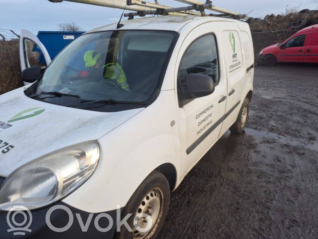 Kangoo II Kangoo  255679735R