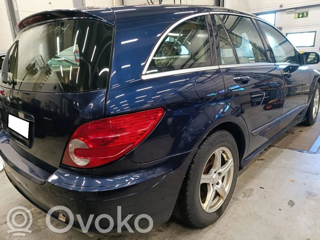 R W251 R-class, AMG (W251)