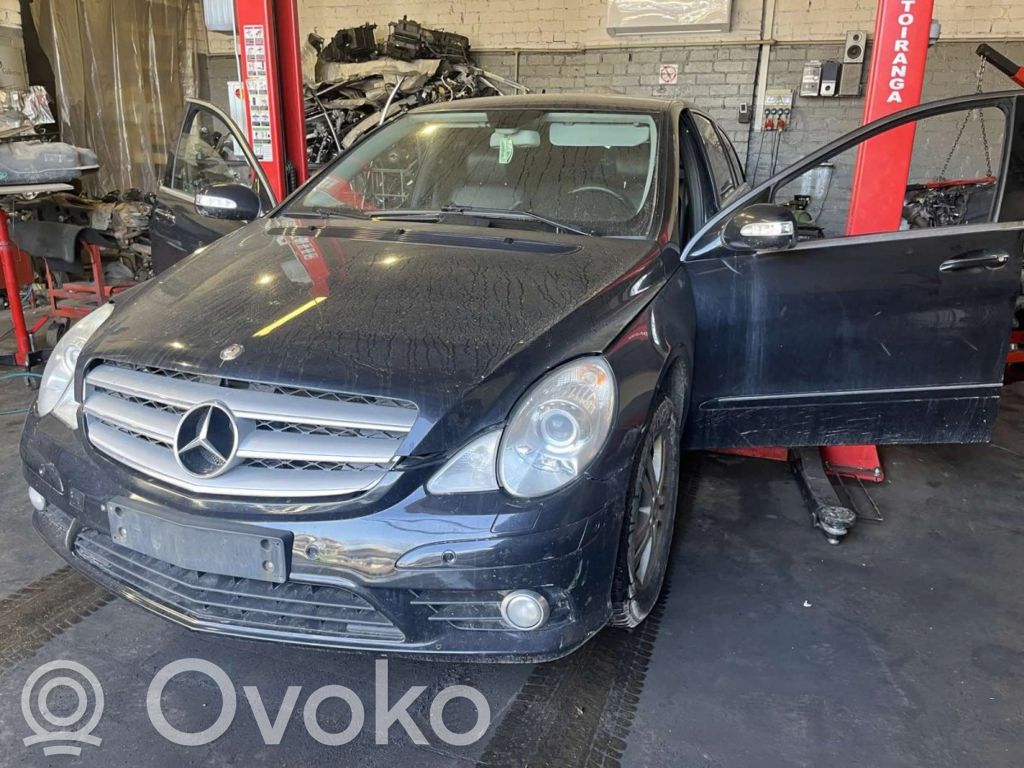 R W251 R-class, AMG (W251)