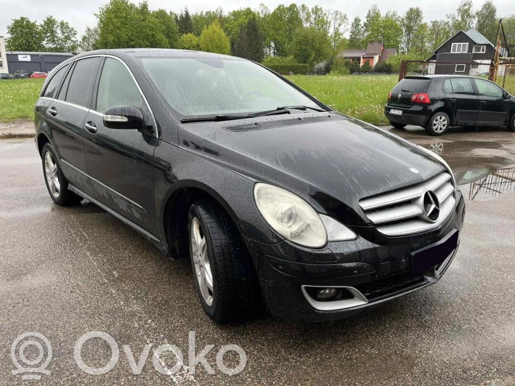 R W251 R-class, AMG (W251)