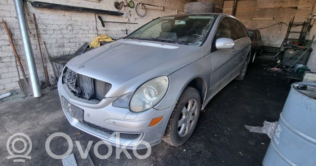 R W251 R-class, AMG (W251)