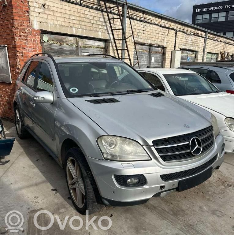 ML W164 ML-class, AMG (W163, W164, W166)