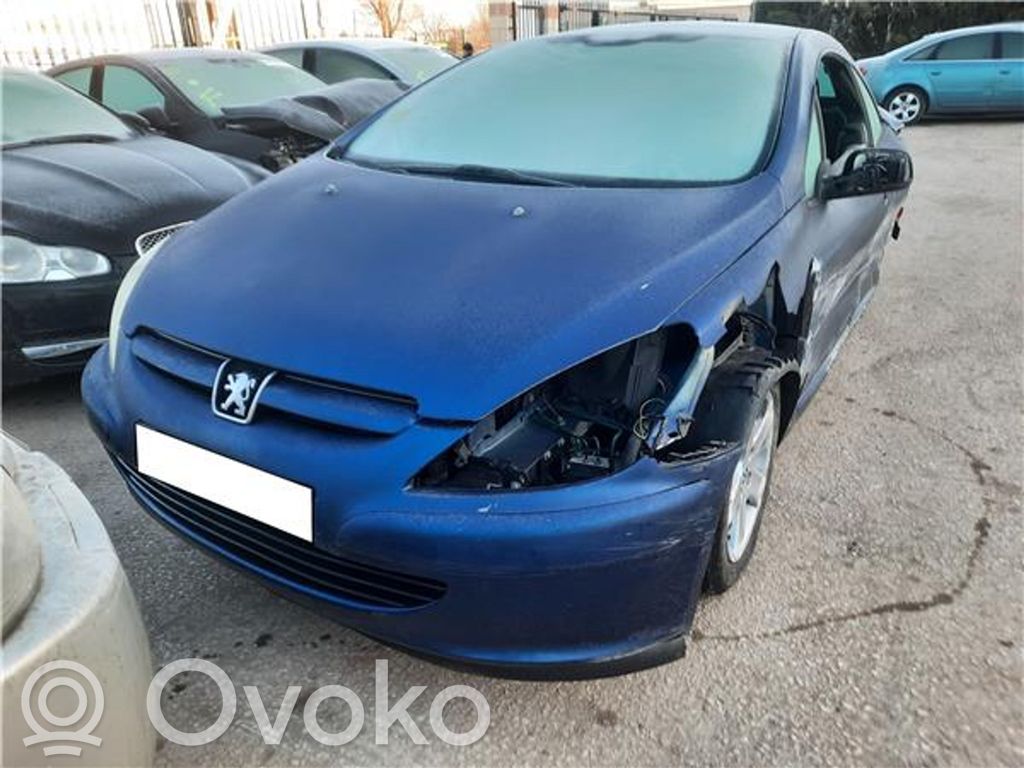 307 CC 307