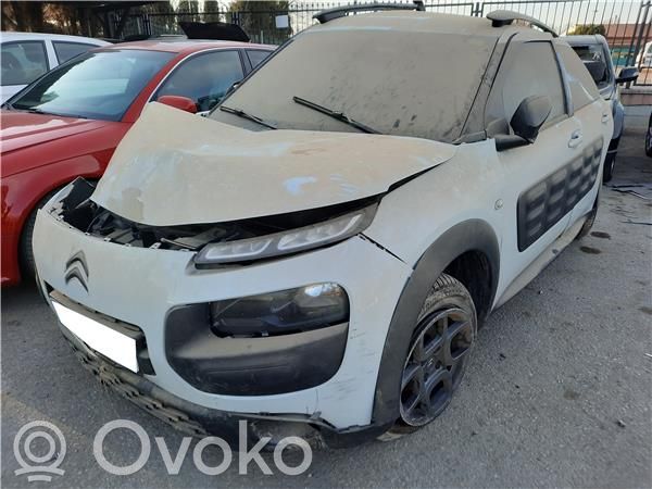 C4 Cactus C4 Picasso, Grand Picasso, Aircross, Cactus
