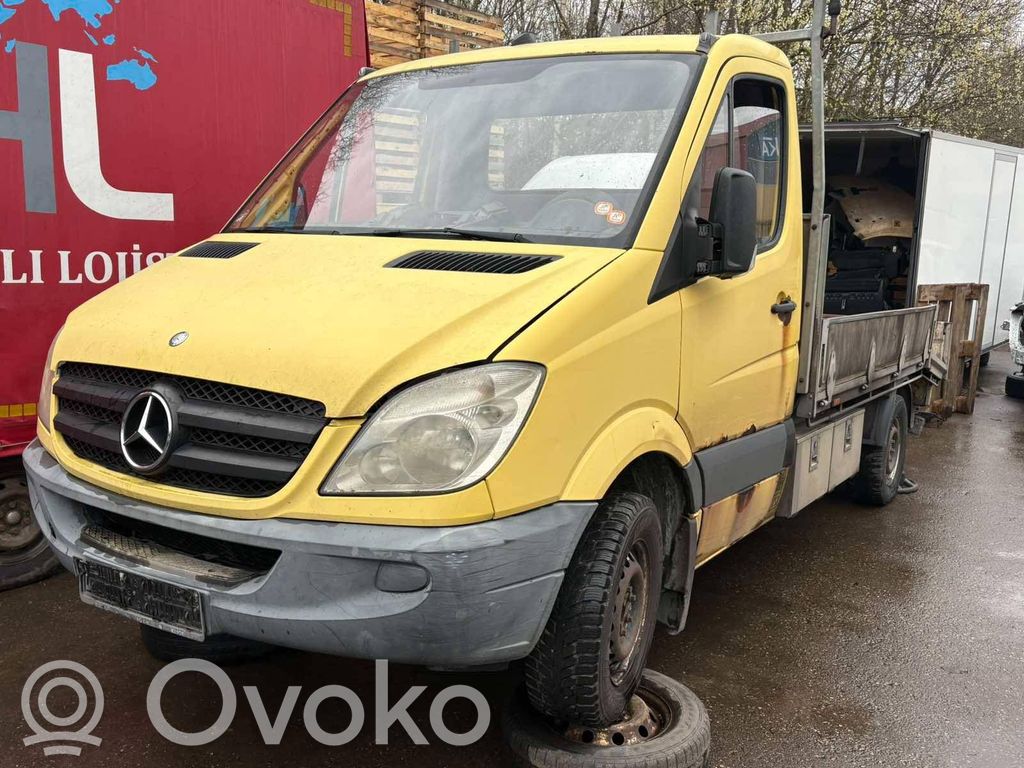 Sprinter W906 Sprinter  A9068100319