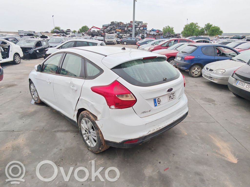 Focus Focus  CV6T10300FA