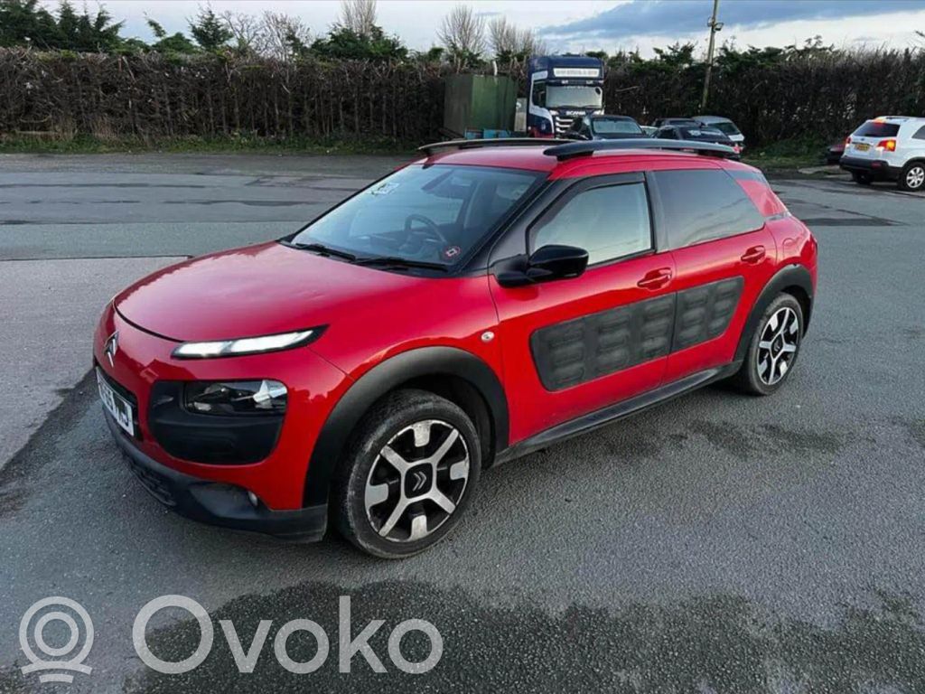 C4 Cactus C4 Picasso, Grand Picasso, Aircross, Cactus  9801521880