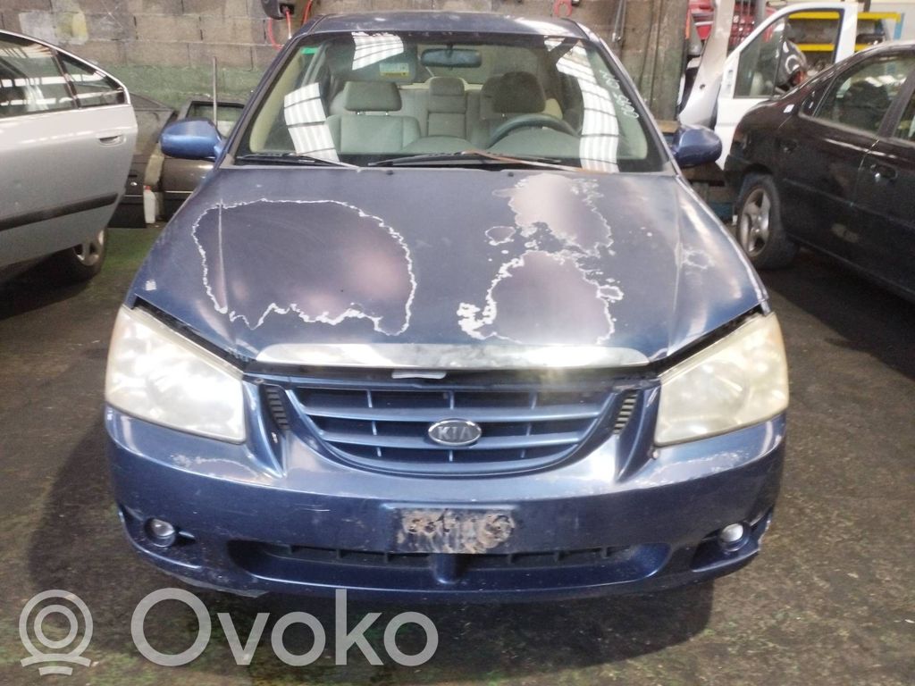 Cerato Cerato  589202F100