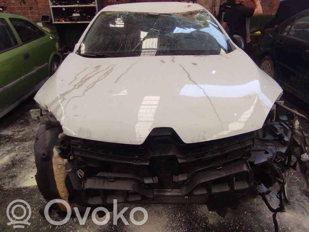 Megane II Megane  251538204R