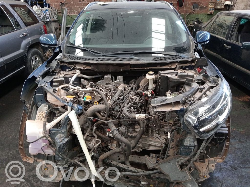 Kadjar Kadjar  252103091R