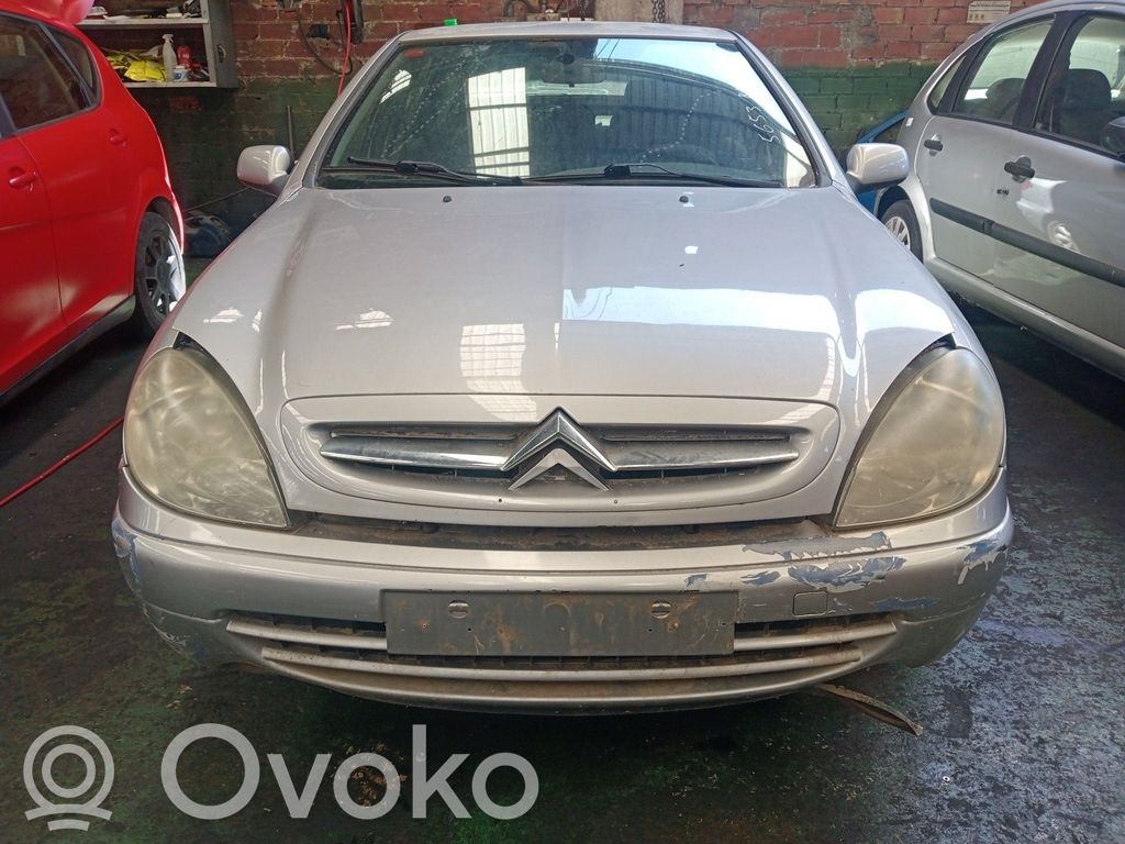 Xsara Xsara, Xsara Picasso