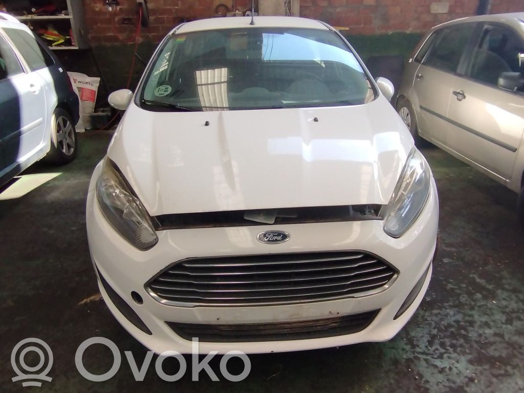 Fiesta Fiesta  C1BBA22601E