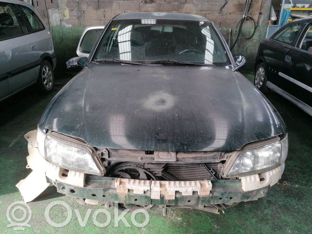 Vectra B Vectra