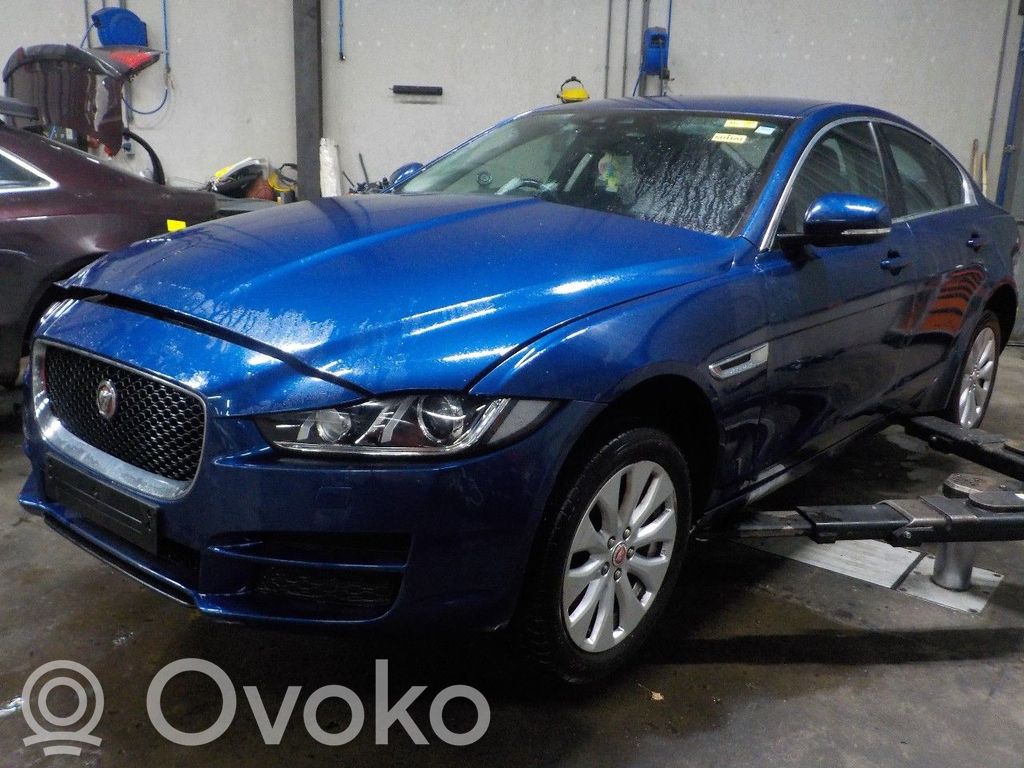 XE XE  4933519600