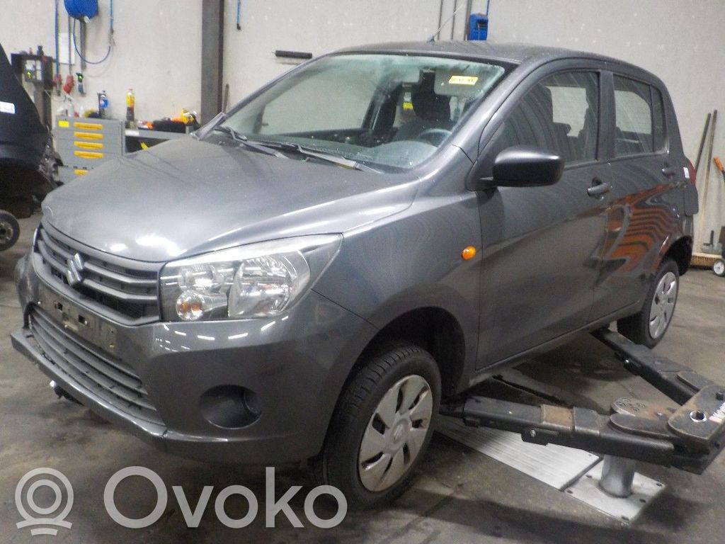 Celerio Celerio  3140084M0