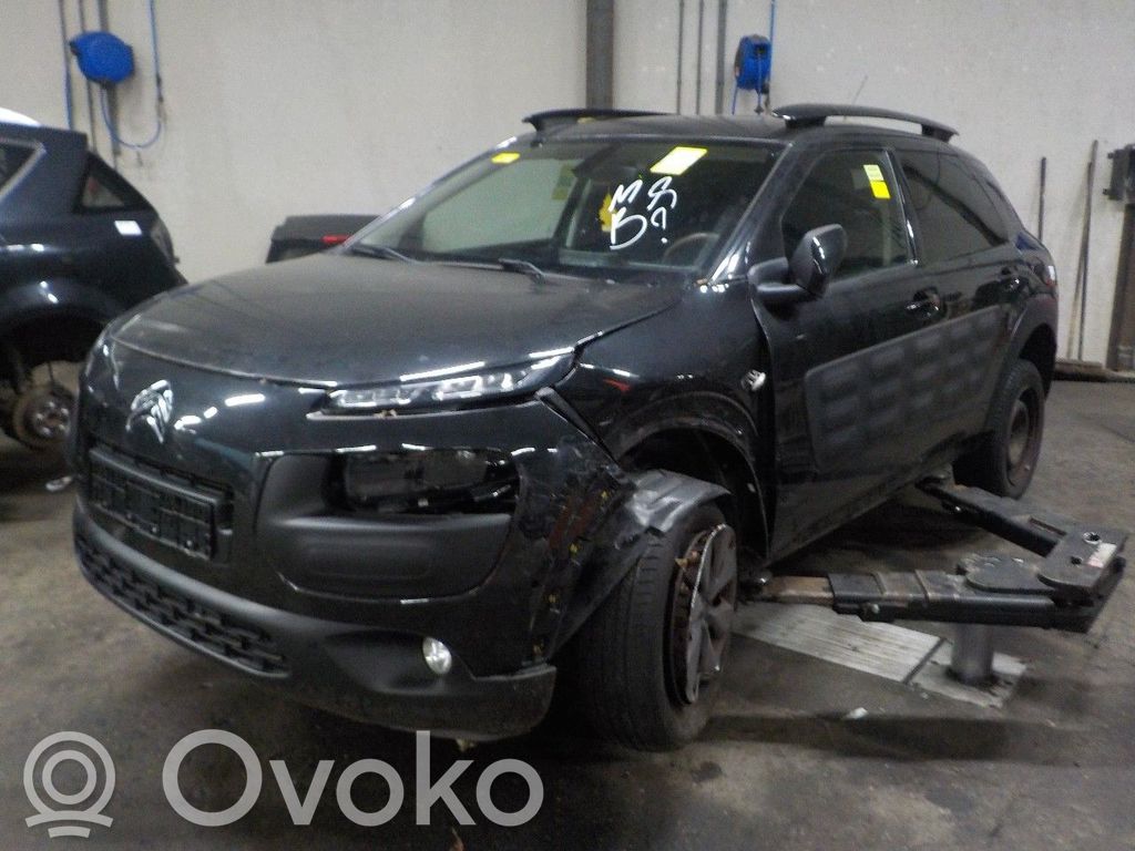 C4 Cactus C4 Picasso, Grand Picasso, Aircross, Cactus