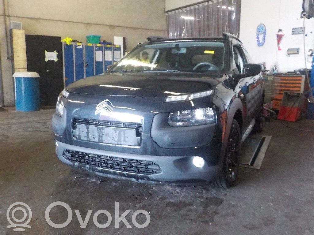 C4 Cactus C4 Picasso, Grand Picasso, Aircross, Cactus  10091539713