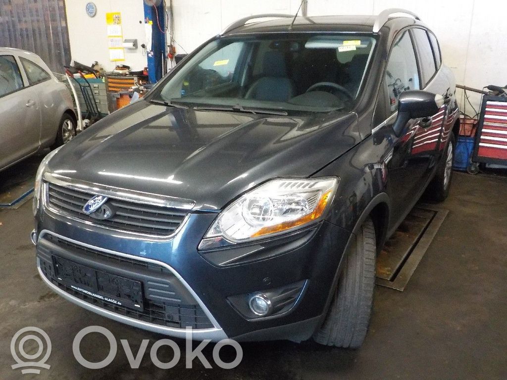 Kuga I Kuga  1042103514