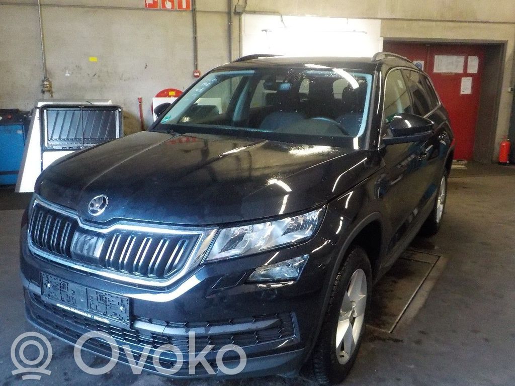 Kodiaq Kodiaq  4918001630