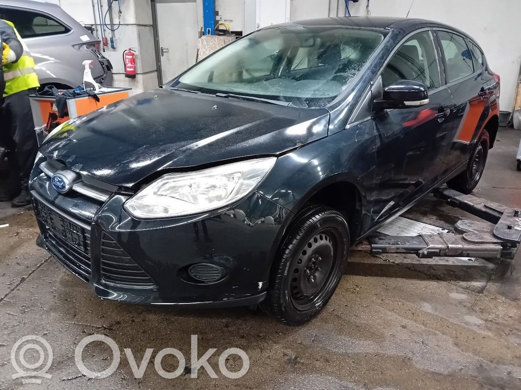 Focus Focus  1481914820