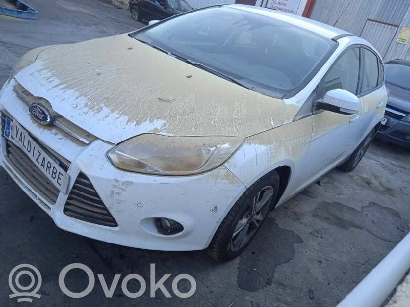 Focus Focus  2173539