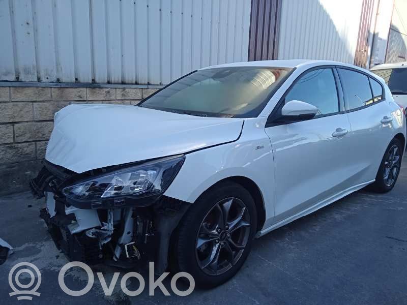 Focus Focus  2500953