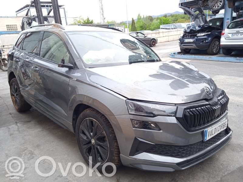 Karoq Karoq  05N907807