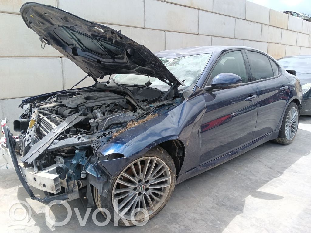 Giulia Giulia  50549822