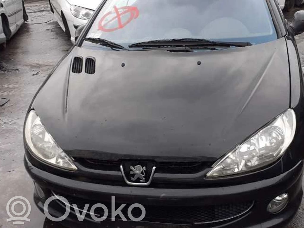 206 206, 206+  9659342180