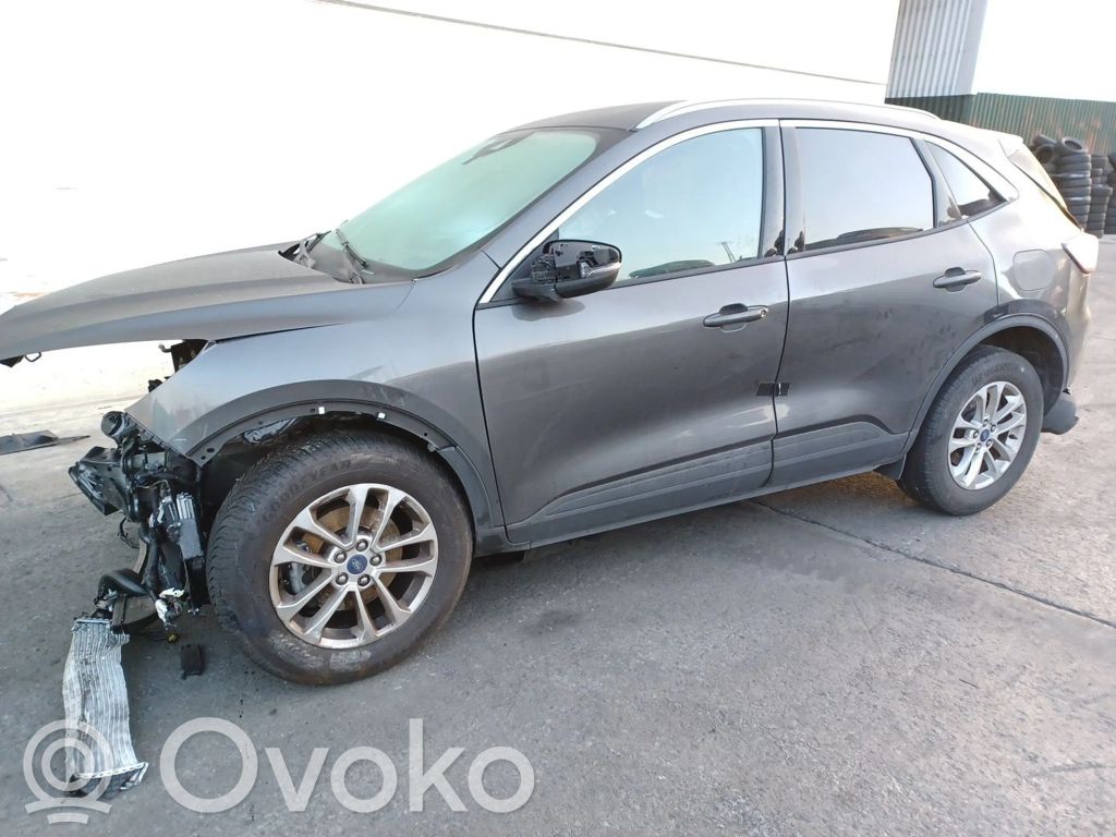 Kuga III Kuga  2425267