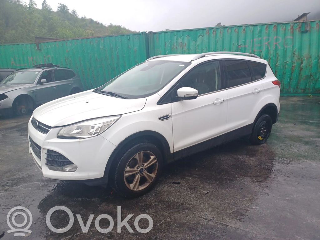 Kuga II Kuga