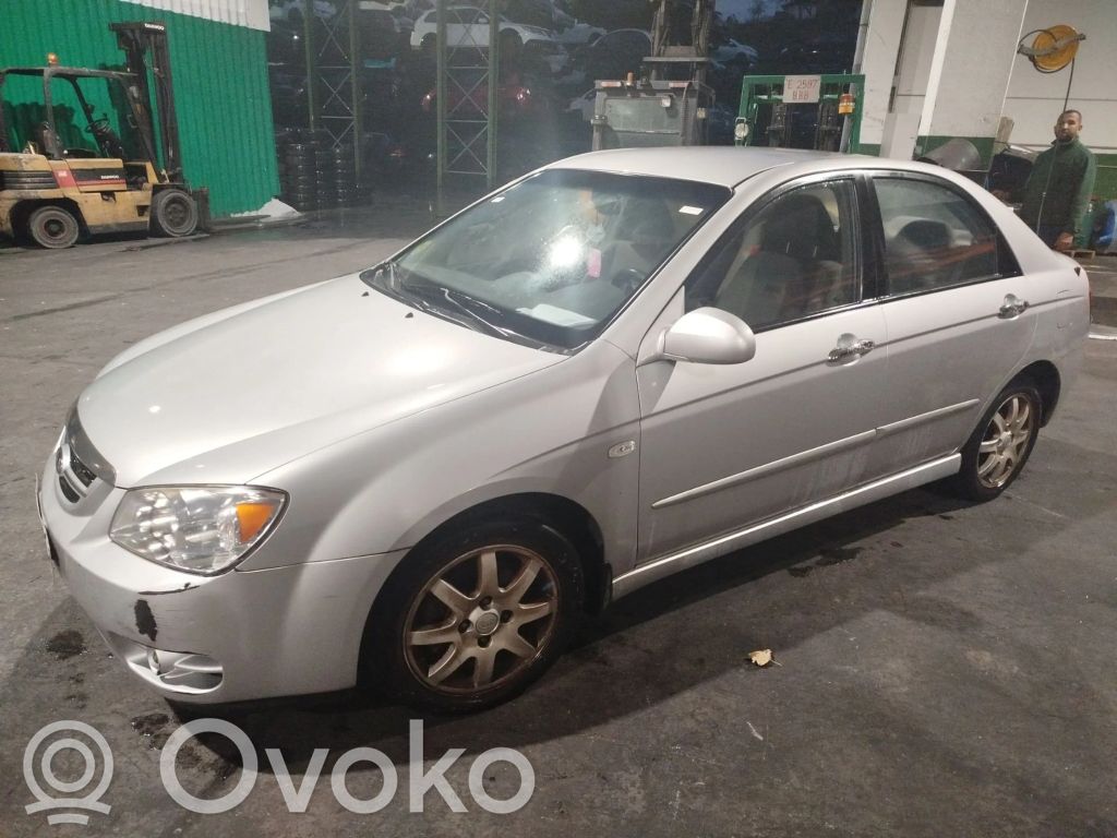 Cerato Cerato