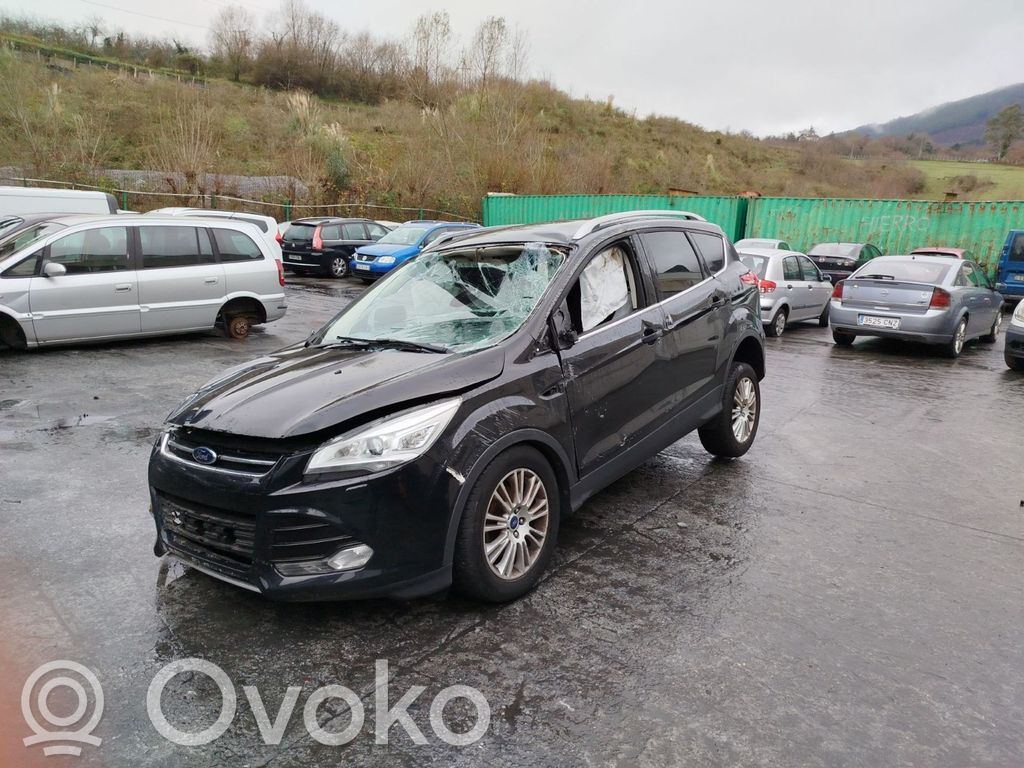 Kuga II Kuga