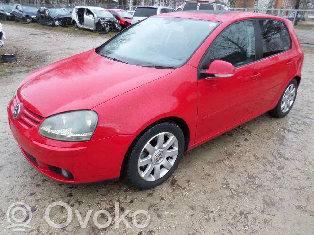 Golf V Golf  ANP80H032A