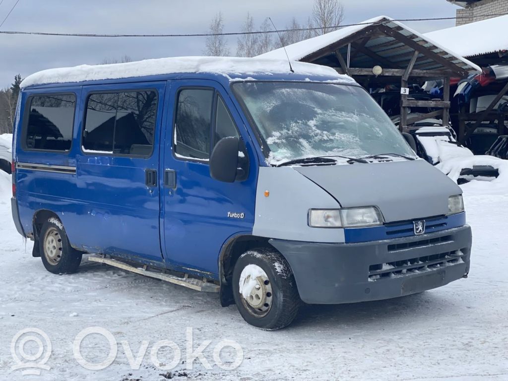 Boxer Boxer  6401E8