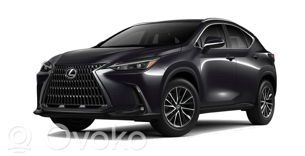 NX NX  13905