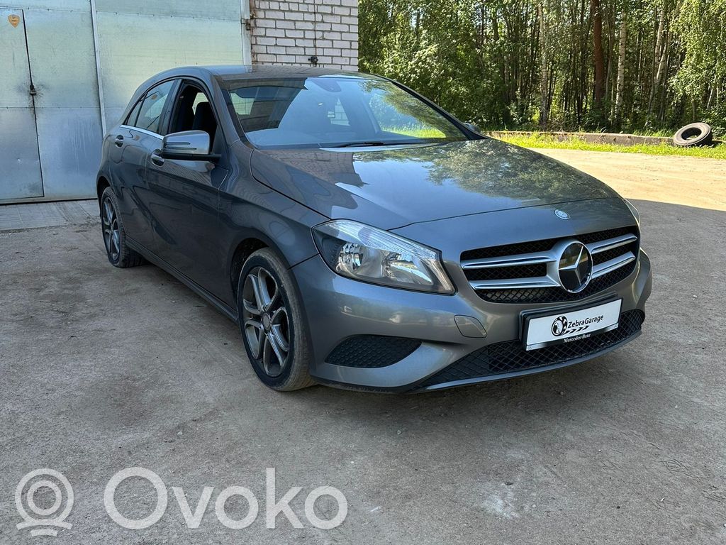 A W176 A-class  A1669000609