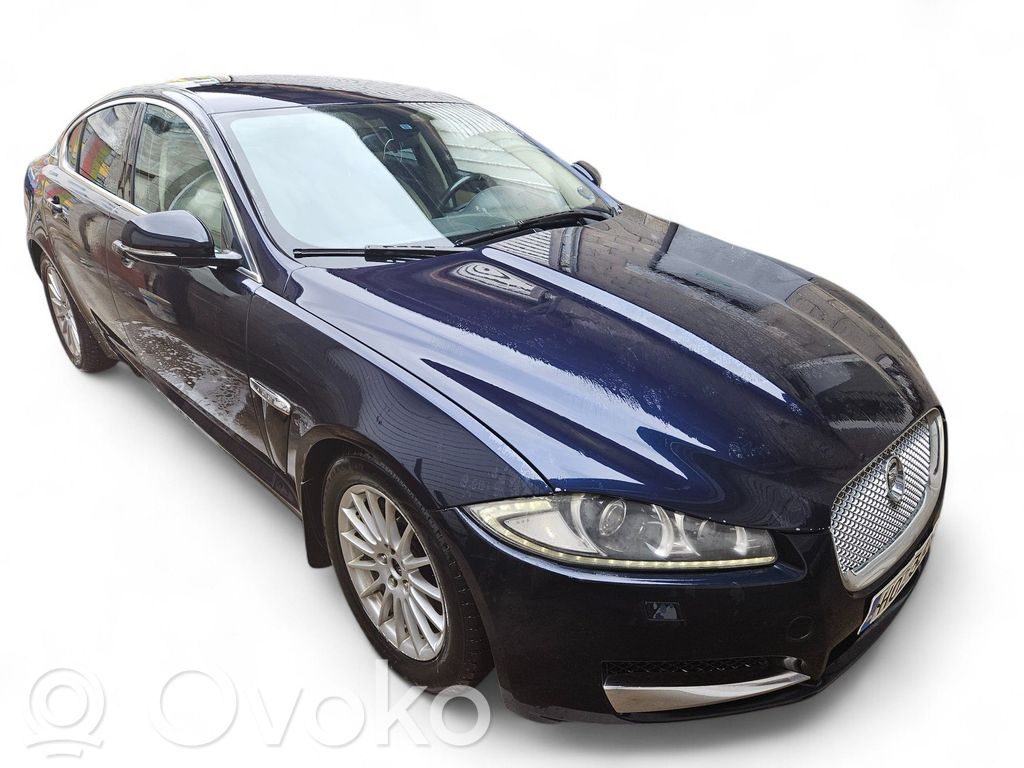 XF X250 XF