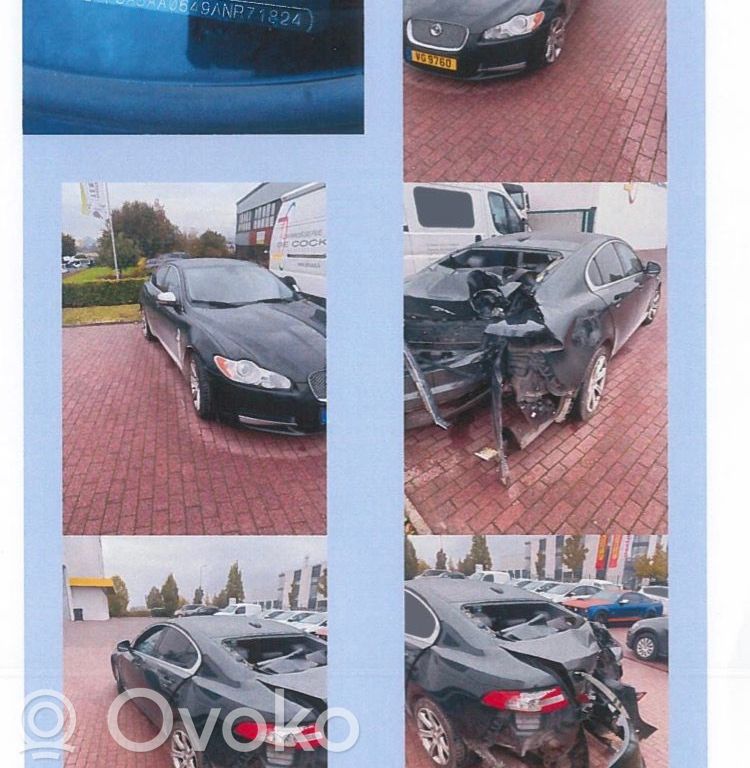 XF XF