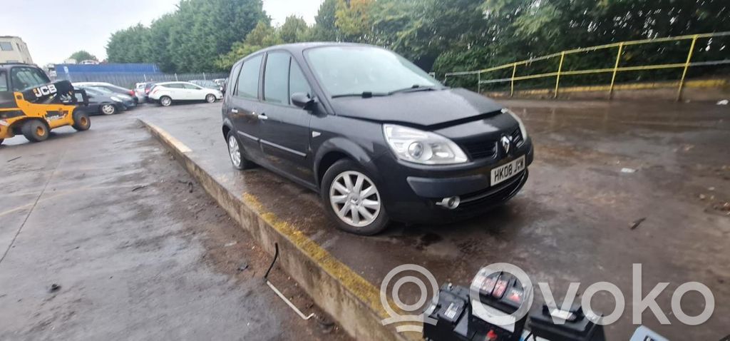 Renault Scenic II - Grand scenic II