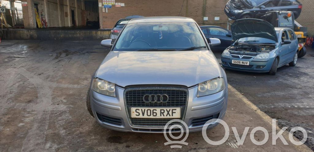 Audi A3 S3 A3 Sportback 8P