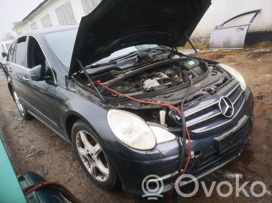 R W251 R-class, AMG (W251)  A1645403372