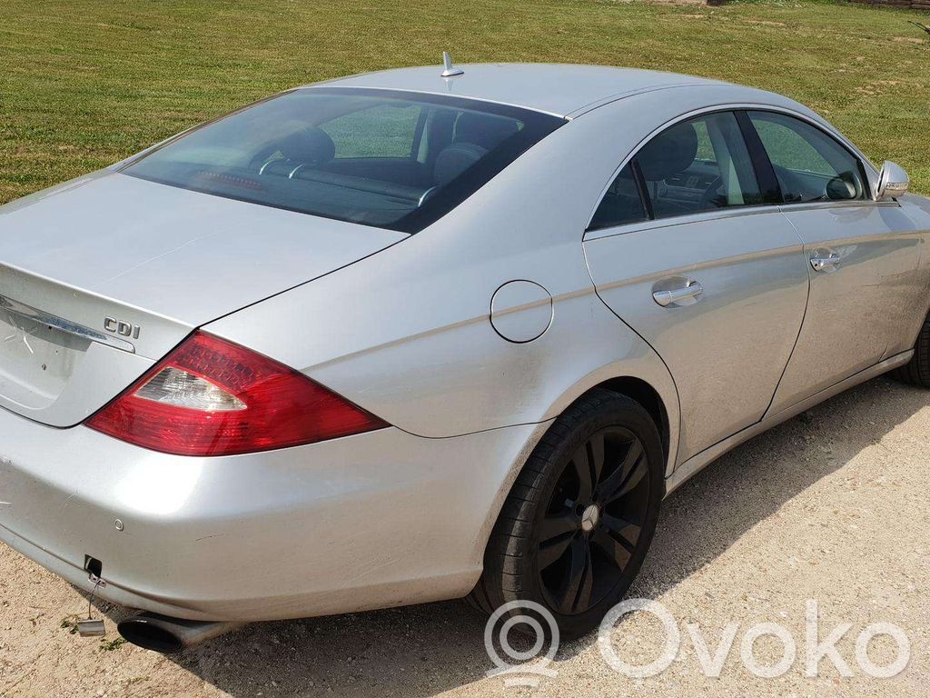 CLS C219 CLS-class, AMG (W219,C218/X218)  E0000030