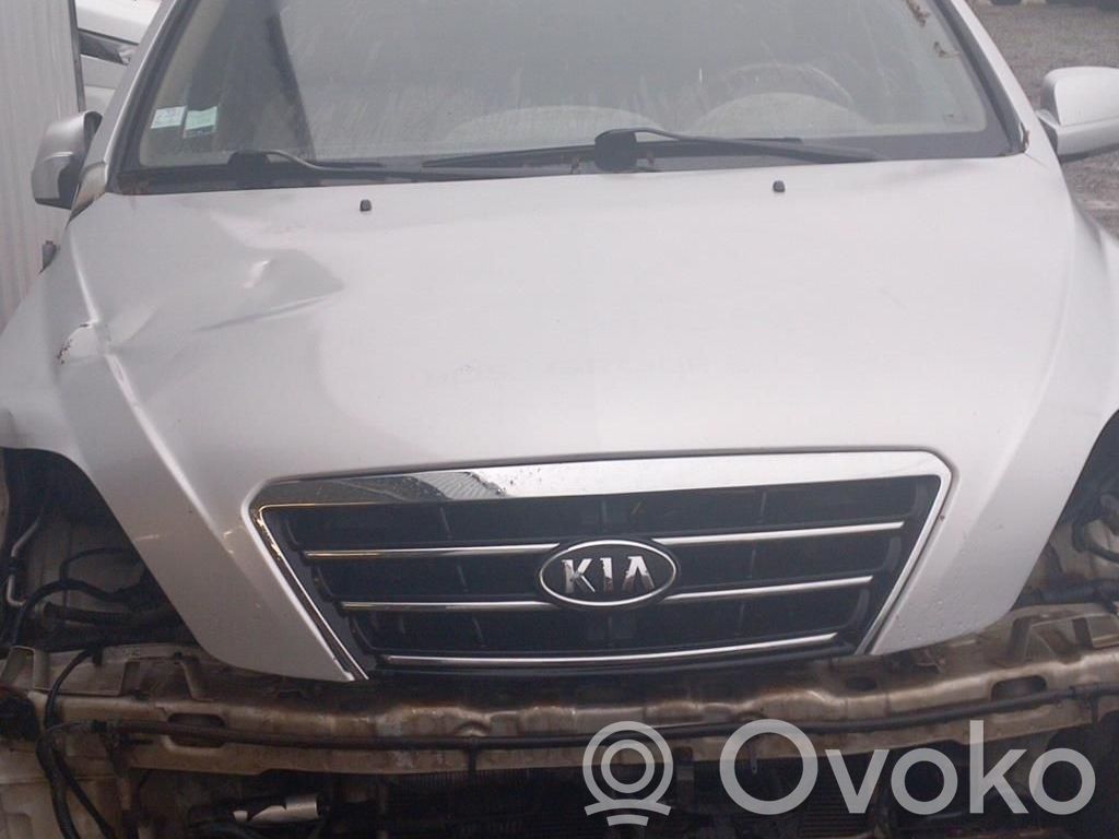 Sorento Sorento  663113E141