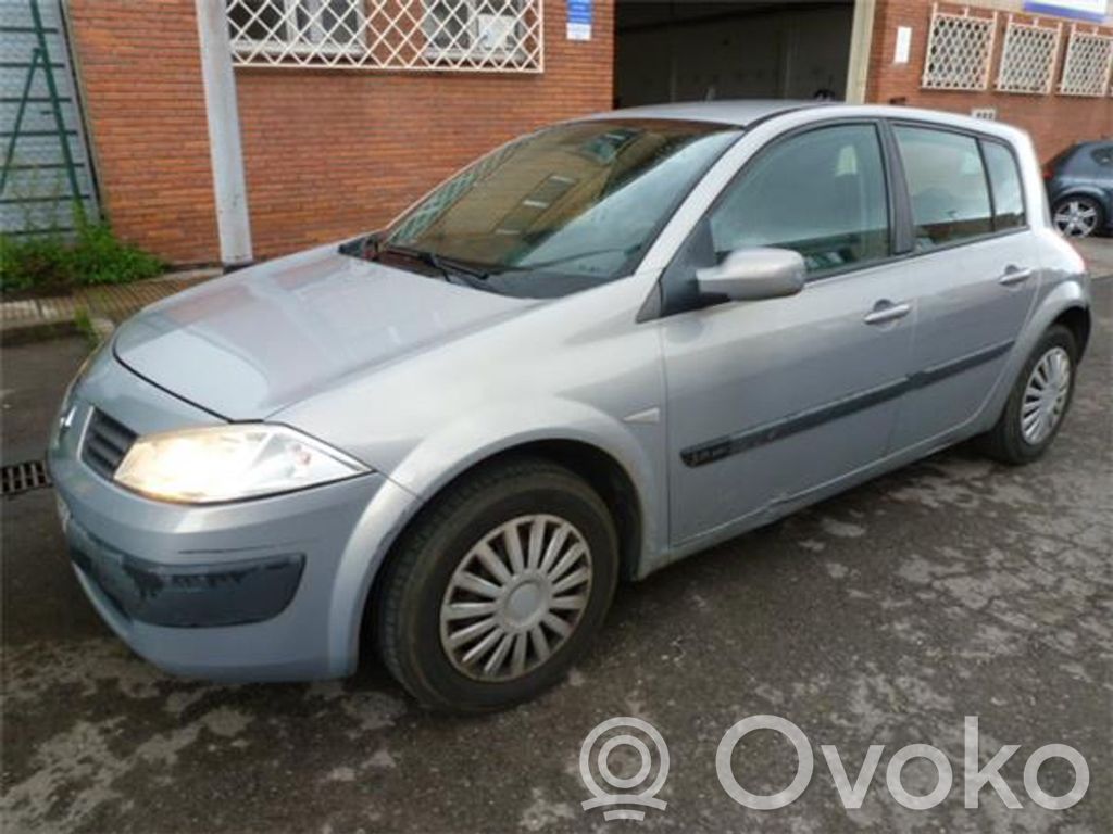 Megane II Megane  8200283924